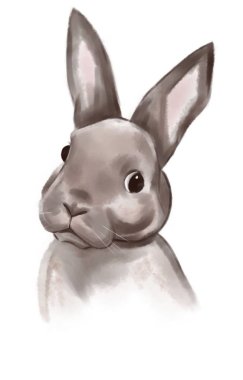 Cute surprised bunny on white background