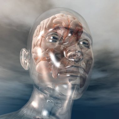 3d illüstrasyon insan beyin renk