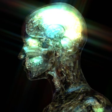 insan anatomisi 3D çizimi