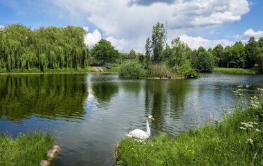 Küçük Gölü kuş su ile