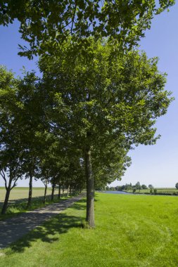 ısmarlayarak yaz peyzaj Varel Ostfriesland
