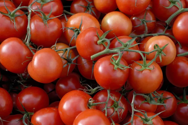 Leckere Tomaten Aus Nächster Nähe — Stockfoto