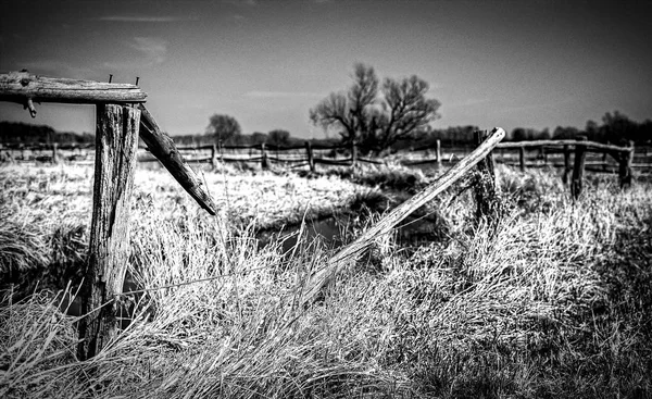 Campo Terras Agrícolas Paisagem Natural — Fotografia de Stock