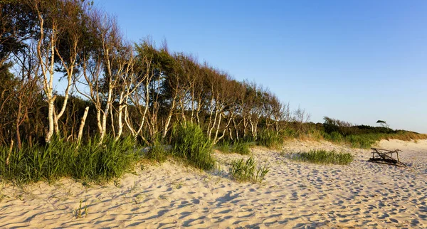 Plaży Letni Dzień Czas Strzał — Zdjęcie stockowe