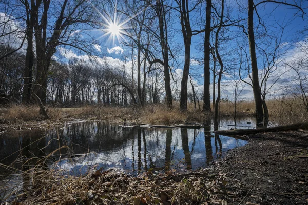 close-up photo of Sunshine In The Water