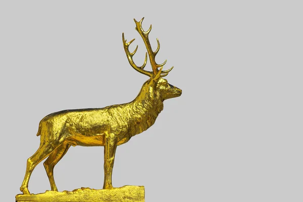 Golden Statue Young Deer — Stock Photo, Image