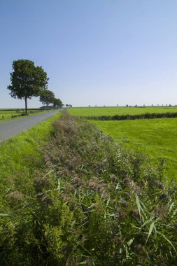 Kuzey sahil yolu. gün zaman atış