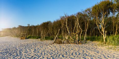 Plaj. Yaz gün zaman atış