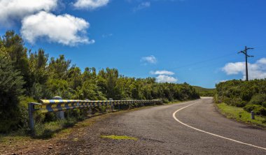 güneş ışığı ülkede yol yol üzerinde ağaçlar büyümek