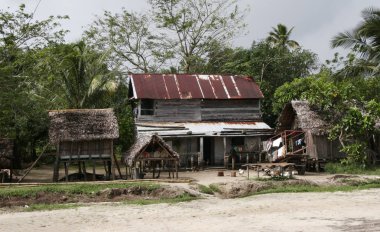 Köy kulübeleri Fianarantsoa, Madagascar