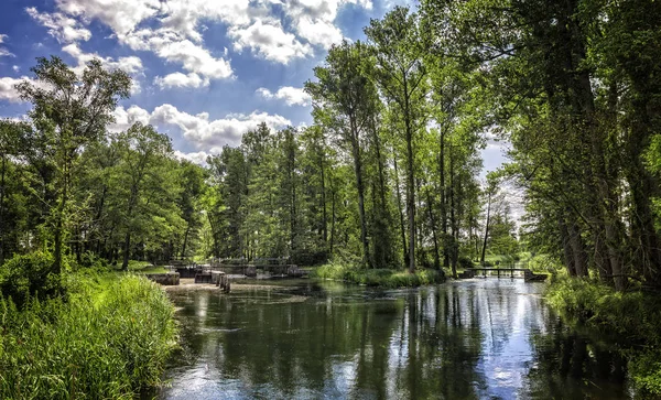 Canal Eau Dans Magnifique Panorama Nature Spreewald — Photo