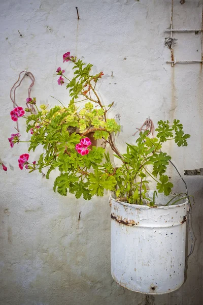 Bouquet Avec Printemps Coloré Fleurs — Photo