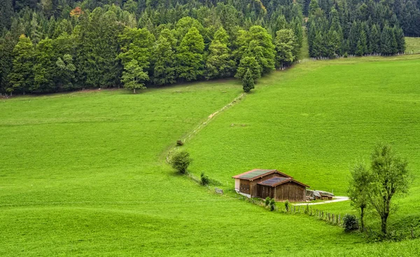 Fotografie Case Din Lemn Pădure Verde Bayern — Fotografie, imagine de stoc