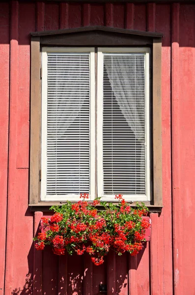Red Flowers In The Window Box.