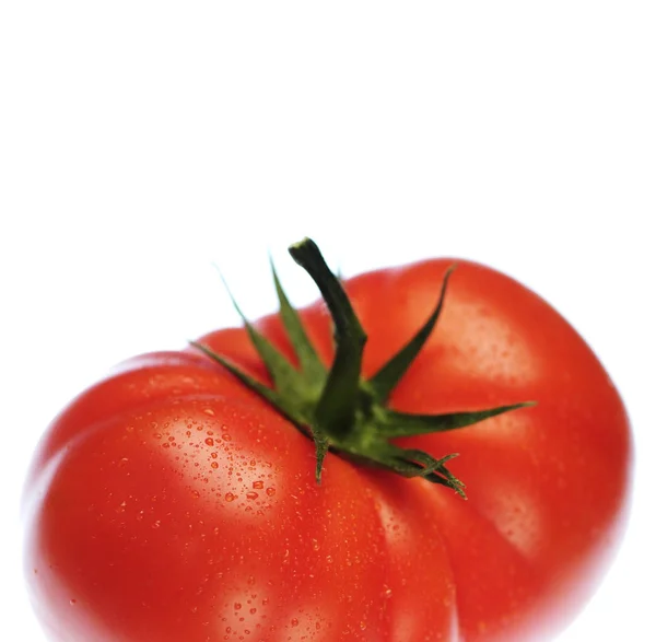 Nahaufnahme Von Frischen Roten Bio Tomaten — Stockfoto