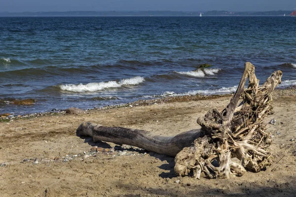 Foto Danimarca Spiaggia Giornata Sole — Foto Stock