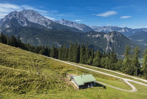 Zdjęcia Domek Letniskowy Zielonym Lesie Alp — Zdjęcie stockowe