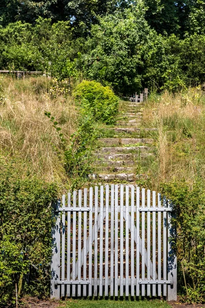 Close Foto Van Oude Poorten Van Houten Latten — Stockfoto