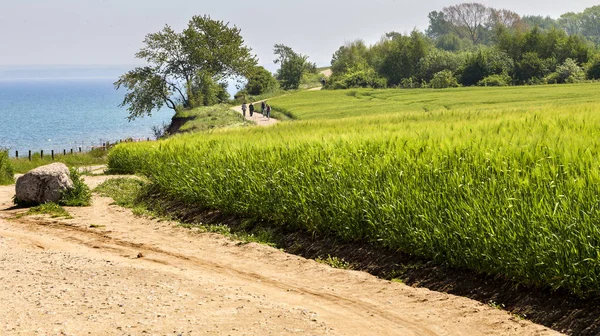 Der Brodtner Steilweg — Stockfoto