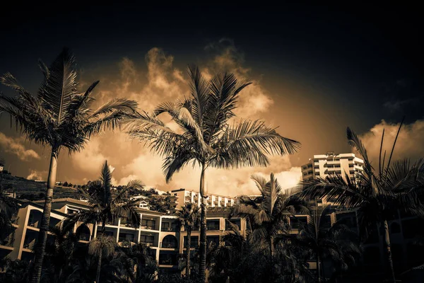 white hotel buildings with palm trees on dramatic sky background