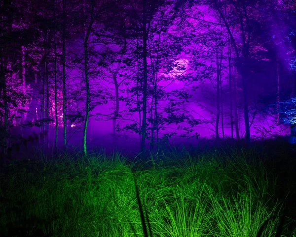 photo of green forest with purple mystery fog in night time