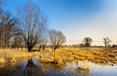 çayırda akan küçük sakin Nehri'nin sahne fotoğraf