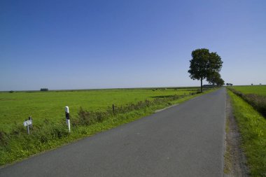 Bahar alan yakın atış