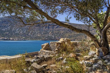 Şaşırtıcı dağlar manzara ateş