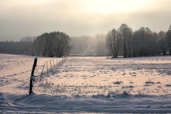 Vista Pitoresca Prado Coberto Neve Dia Ensolarado Inverno — Fotografia de Stock
