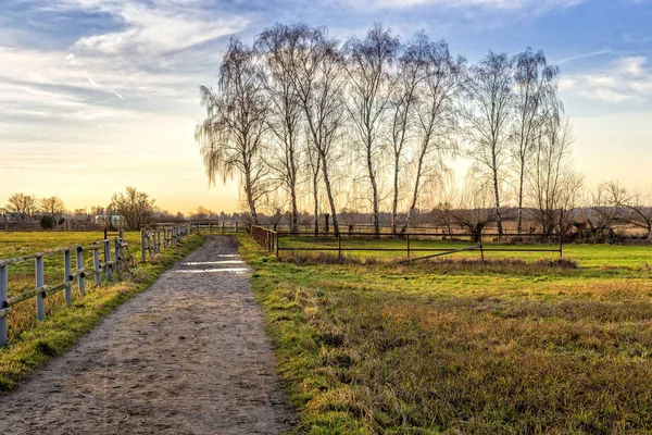 Foto Hierba Verde Fresca Aire Libre — Foto de Stock