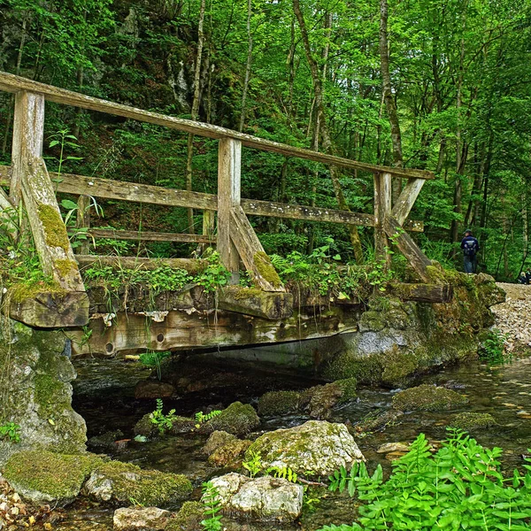 Stary Drewniany Most Przez Małych Górskiego Strumienia — Zdjęcie stockowe