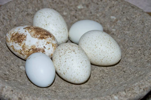 Pihovatý Bílé Velikonoční Vajíčka Nebo Ptačí Vejce Kamenné Misce — Stock fotografie