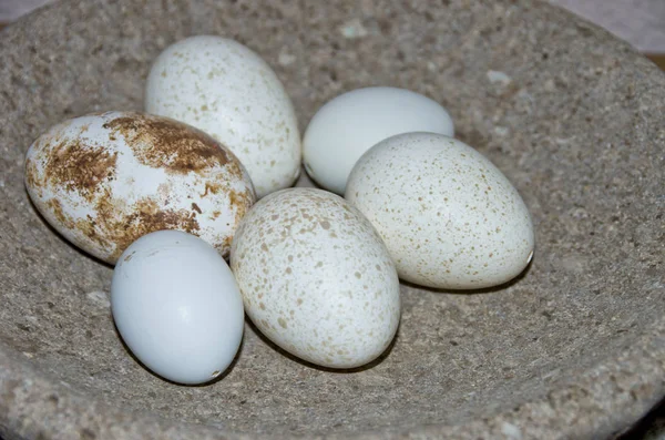 Oeufs Pâques Blancs Tachetés Oeufs Oiseaux Dans Bol Pierre — Photo