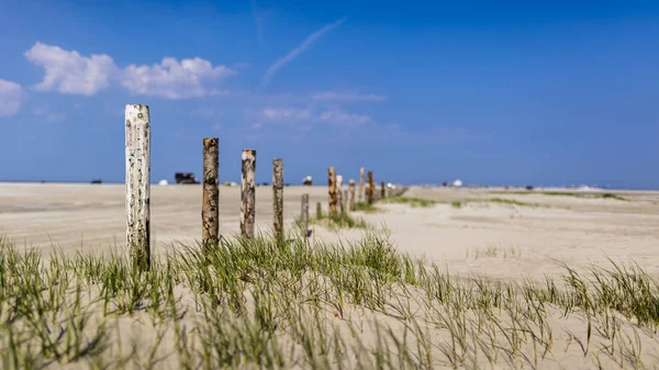 Lente Weide Close Shot — Stockfoto