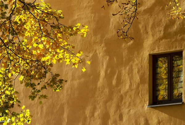 Küçük Bir Pencere Ile Cephe — Stok fotoğraf