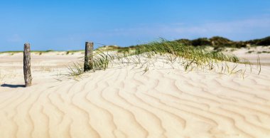 Plaj. Yaz gün zaman atış