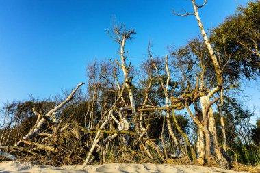 The Beach gün zaman renk vuruşta