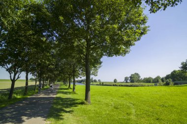 ısmarlayarak yaz peyzaj Varel Ostfriesland