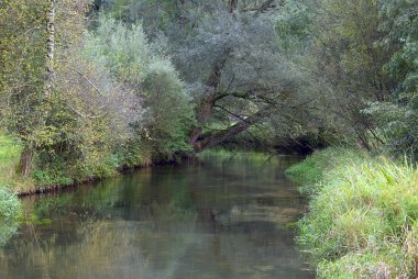 Fluvial topografya, Lauter Nehri Vadisi