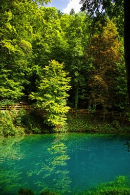 mavi nehir, Almanya ile güzel Potsdam şehrinin fotoğraf