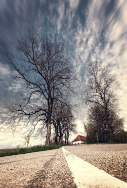 güneş ışığı ülkede yol yol üzerinde ağaçlar büyümek