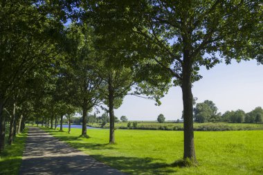 ısmarlayarak yaz peyzaj Varel Ostfriesland