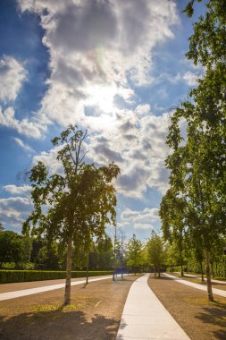 Şaşırtıcı doğal Tema. Doğa kavramı
