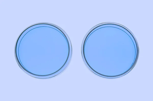 Isolerade Petriskålar Med Blåaktig Jellylike Frågan Enacted Lab Läge Nära — Stockfoto