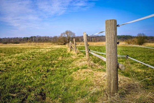 Wooden Fence close up shot