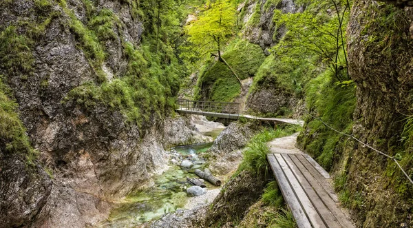 Amazing Berchtesgadener Land Siang Hari — Stok Foto