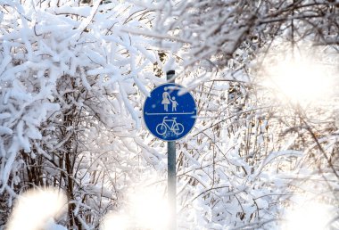 kış orman Mavi işaretler kurulu ile fotoğrafı