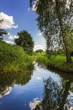 çayırda akan küçük sakin Nehri'nin sahne fotoğraf