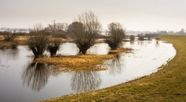 ısmarlayarak güzel nehir Elbe, Almanya 