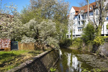 Gün süre yaşayan, Lake vurdu
